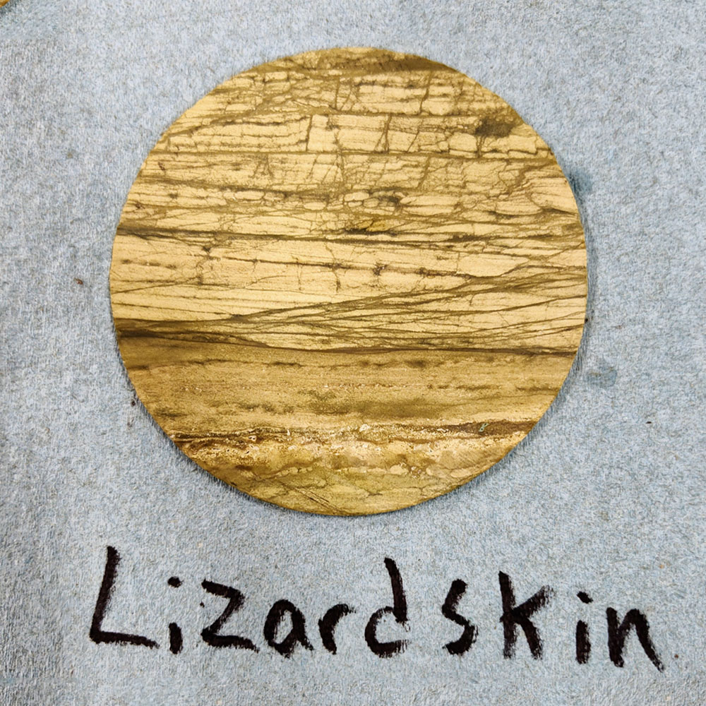 lizard-skin